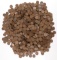 OVER 8 POUNDS OF UNSEARCHED WHEAT CENT PENNIES