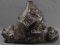 TAINO ORNATE IGUANA ZEMI