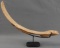 TAINO ZOOMORPHIC MANATEE VOMIT SPATULA