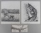 LOT 2 J. LIVINGSTON WILDLIFE ARTIST ORIG DRAWINGS