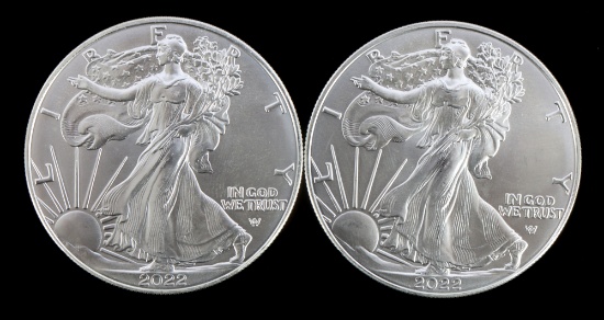 TWO SILVER EAGLES 1 OZT .999 SILVER 2015