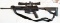 Sig 716 (scoped)