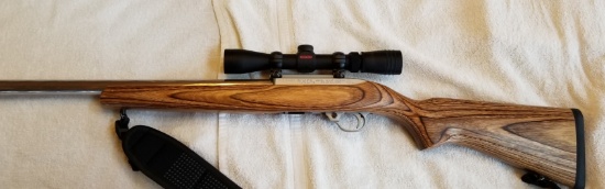 Ruger 1022 Carbine (scoped)