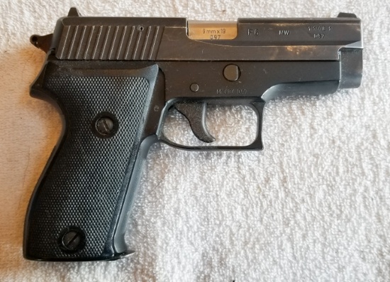 Sig P6