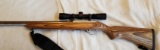 Ruger 1022 Carbine (scoped)
