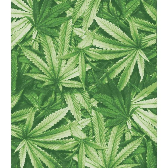 GFBLKHIP02 - Ganja Dreams Luxury Blanket