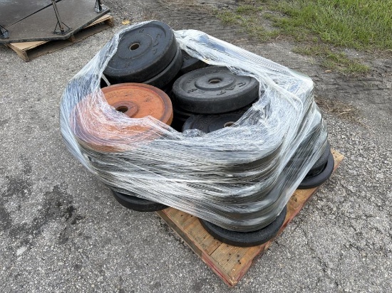 PALLET OF BUMPER WEIGHT PLATES