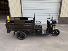 UNUSED SD LANCH ET13 ELECTRIC CART