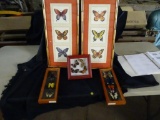 2 Butterfly prints and 3 butterfly collections