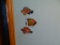 Wooden fish -set of 3