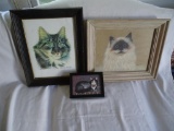 3 Cat Pictures