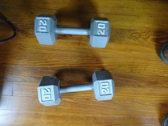 20 lb. dumbells (2)