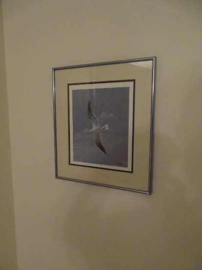 Framed Art by R.A. Burgess-Seagull-double mat