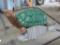 Wood fish and poly/resin turtle