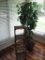 Artificial Ficus Tress and Wooden stand