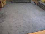 Blue carpet~12' x 15'