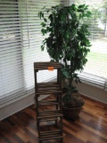 Artificial Ficus Tress and Wooden stand