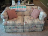 Loveseat and Sofa plus pillows and blanket.