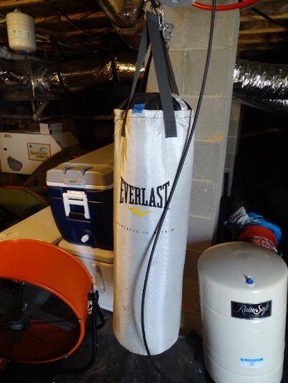 Everlast Punching Bag