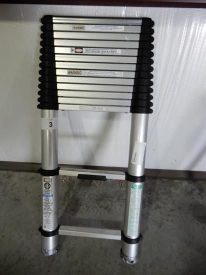 TELESCOPING LADDER