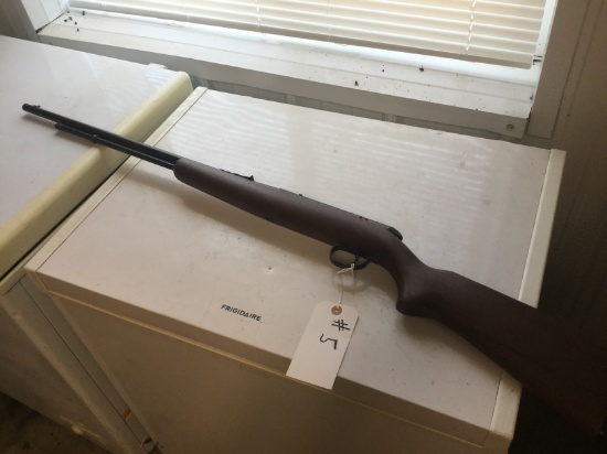 Remington model 550, .22 single shot