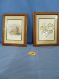 2 FRAMED SIGNED PRINTS  19 X 15