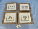 ALDAMA SIGNED PRINTS IN FRAMES  14 X 13