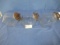 3 PC. CANNISTER SET