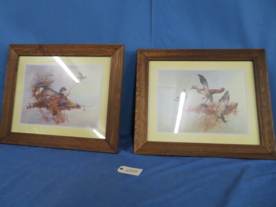 PAIR OF CHARLES E. MURPHY FRAMED DUCK PRINTS  24 X 21