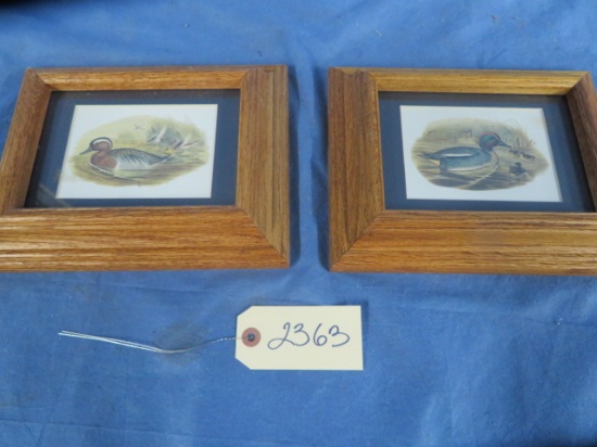 2 SMALL DUCK PRINTS  7 X 10