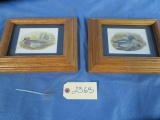 2 SMALL DUCK PRINTS  7 X 10