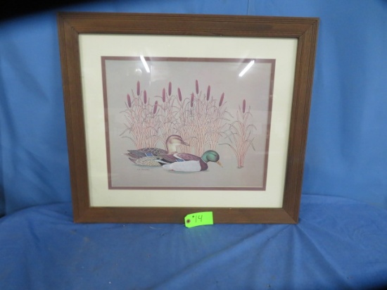 FRAMED DUCK PRINT BY J S PARKS  30 X 26