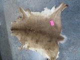 DEER HIDE