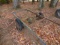 16 FT. TRAILER FRAME- NEEDS TIRES