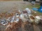 PILE OF HUBCAPS