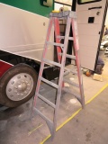 WERNER 6 FT. LADDER