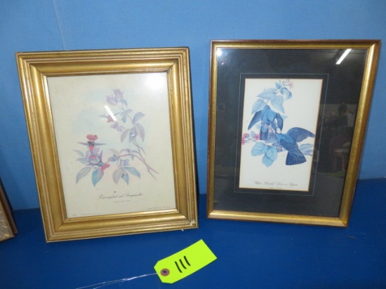 2 FLORAL PICTURES W/ BIRDS  12.5 X 10.