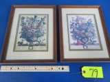 2 WILLIAMSBURG FLOWER OF THE MONTH PRINTS- JULY AND DECEMBER