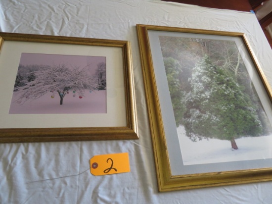 2 framed  prints of trees  13 x 16 and 223 x 18