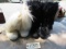 2 PR. GENUINE PAJAR BOOTS  SIZE 40 WOMENS