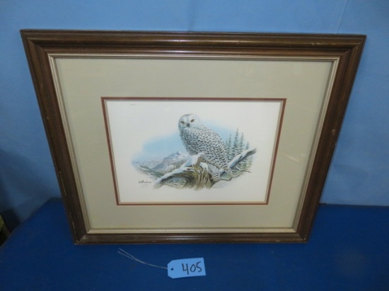 OWL PRINT SIGNED AND FRAMED  25 X 22