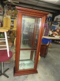 GLASS DISPLAY CABINET  W/ GLASS SHELVES  36 X 12 X 80 T