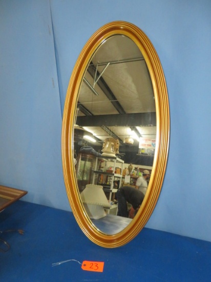 OVAL GOLD FRAME MIRROR- 22X43"