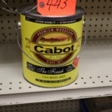 1 GALLON CABOT PREMIUM WOOD CARE