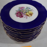12 CZECHOSLAVAKIAN PLATES