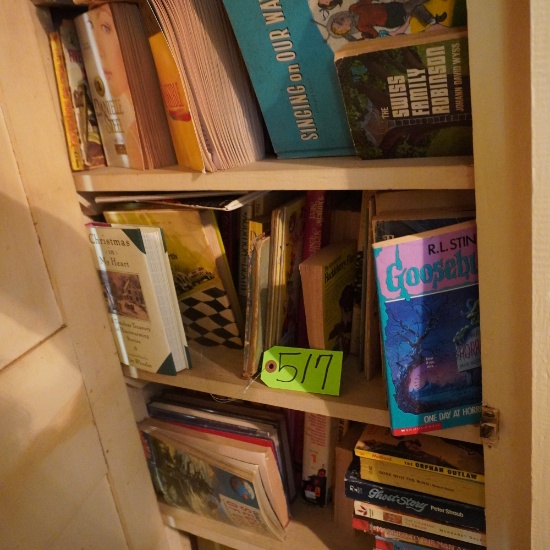 CLOSET OF BOOKS- LRG. AMT.