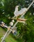 ROOSTER WEATHERVANE  40 T