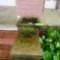 2 CONCRETE PLANTERS