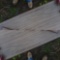 DAISY HAND PUMP BB GUN
