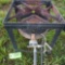 PROPANE COOKER